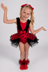 Ladybug